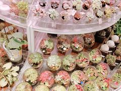 -KKV(深圳kk one 店)