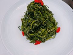 红果枸杞苗-清真·宁夏印象·盐池滩羊肉体验店(江宁路店)
