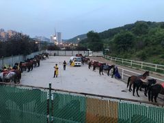 -鼎盛王朝康熙大典实景演出