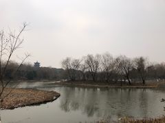 -梁鸿国家湿地公园