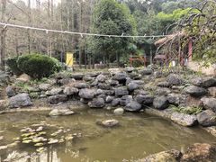 -中铁花水湾温泉酒店(大邑店)