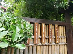 -香园自助小火锅