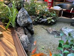 -森味薪火烧•烧鸟居酒屋•日本料理(望京店)