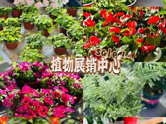 -南通洲际绿博园