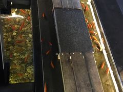 -颐和•海鲜砂锅粥•啫啫煲(奥林匹克广场店)
