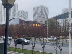-艳阳天·非遗楚菜(武汉客厅店)