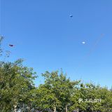 南宁遛娃｜这个周末一起去灵龟山公园放风筝吧！🪁