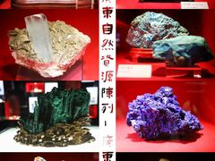-广东省博物馆