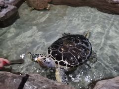 -杭州海底世界