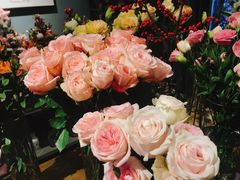 -Flower in(密渡桥店)