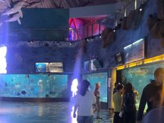 -烟台海昌鲸鲨海洋公园