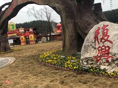 -绵阳盛世樱花悠乐谷