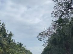 -三亚亚龙湾铂尔曼别墅度假酒店