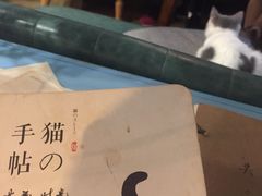 -共舞时光猫咖·狗咖(新街口店)