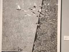 -江苏省美术馆(长江路新馆)