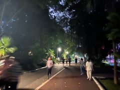 -南宁南湖公园