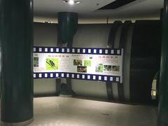 -上海昆虫博物馆
