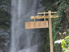 -莫里热带雨林景区
