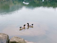 -白马涧龙池景区