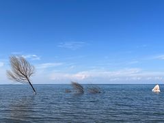 -青海湖国家重点风景名胜区