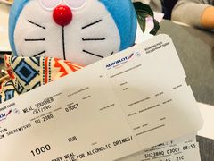 -谢列梅捷沃国际机场