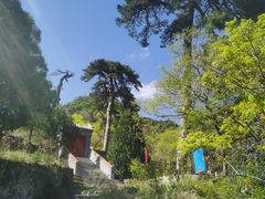 -妙峰山风景名胜区