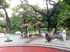 -天河儿童公园