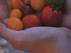 -竹上云想餐厅民宿