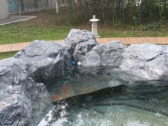 -和园景逸大酒店朗月汤泉