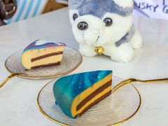 -Husky Go! 哈士奇体验馆·宠物咖啡厅狗咖