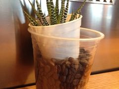 iphone_upload_pic-Gloria Jean's Coffees