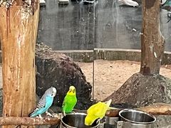 -海合安武汉极地海洋公园