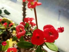 -海洋之星休闲汗蒸浴场