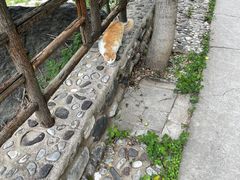 -京西十八潭风景区