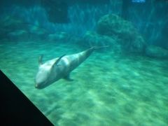 -福州罗源湾海洋世界旅游区