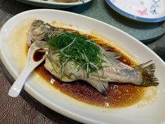 姜葱霸王鱼-淇乐多品味馆(江南大道店)