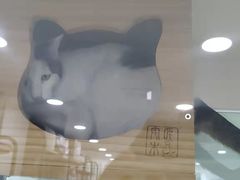 -佳雯宠物医院·皮肤科·内外科(春晓路分院)