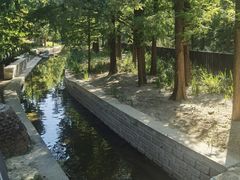 -白水寺森林公园