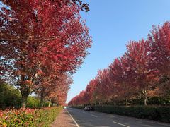 -南京枫彩漫城
