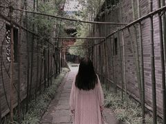 -龙潭水乡