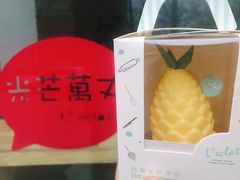 旺财凤梨-狗年春节限定-台灣光芒手作(万安街店)
