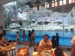 -帝企鹅自助餐厅•儿童岛•真企鹅(长隆企鹅酒店)