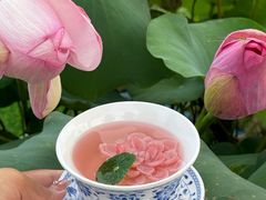 -七的湖·晚芳亭·阳澄湖农家菜·大闸蟹(莲花岛店)