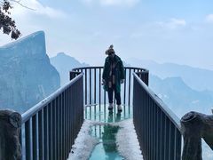 -张家界天门山国家森林公园
