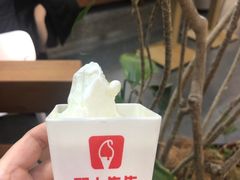 -野人先生Gelato(上海长宁龙之梦店)