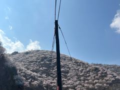 -妙峰山风景名胜区