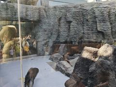 -武汉动物园