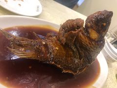 挣蹦鲤鱼-奥华餐厅·老张记(台基厂店)