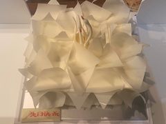 -BLACKSWAN黑天鹅(环球店)