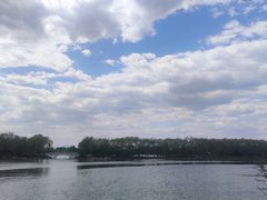 -大兴滨河森林公园